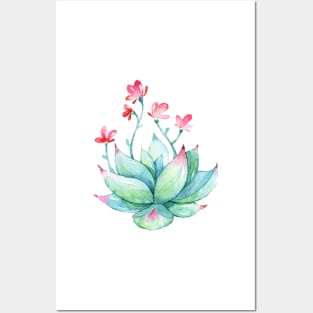 Watercolor Succulent sticker Posters and Art